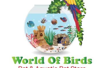 World Of Birds